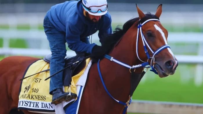 Placeat delectus quasi repellat id et qui.